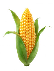 A vibrant yellow ear of corn, still encased in its fresh green husk, stands upright on a stark white background, highlighting its natural texture and color beautifully.