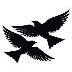 Obraz premium Silhouette of Two Birds Flying Upward Against a Plain Background, Detailed Wings and Feathers