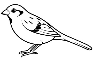 sparrow silhouette line art vector illustration with a white background