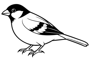 sparrow silhouette line art vector illustration with a white background