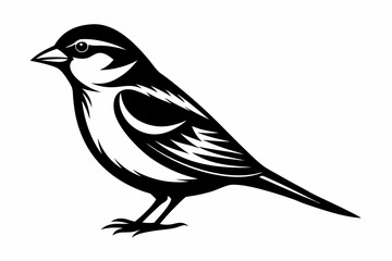 sparrow silhouette line art vector illustration with a white background
