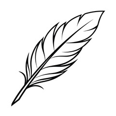 feather vector illustration