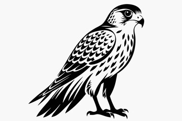 Fototapeta premium kestrel silhouette line art vector illustration with a white background