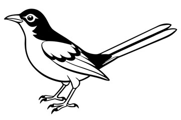 mockingbird silhouette line art vector illustration with a white background