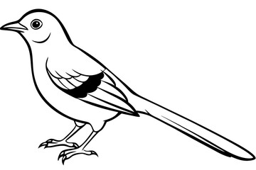 mockingbird silhouette line art vector illustration with a white background