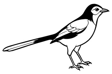 mockingbird silhouette line art vector illustration with a white background