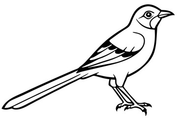 mockingbird silhouette line art vector illustration with a white background
