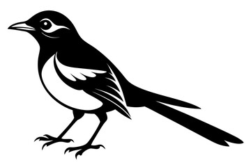 mockingbird silhouette line art vector illustration with a white background