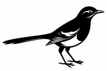 mockingbird silhouette line art vector illustration with a white background