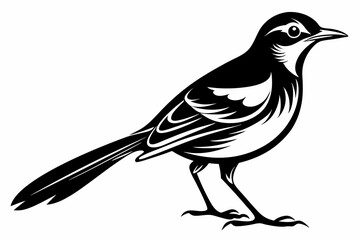 mockingbird silhouette line art vector illustration with a white background
