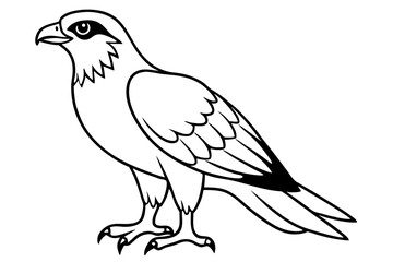 osprey silhouette line art vector illustration with a white background