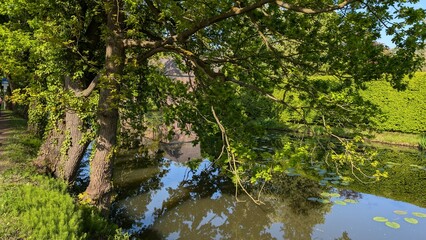 Water channel with trees next to Arcen Castle, Netherlands, creating a peaceful and scenic atmosphere. 