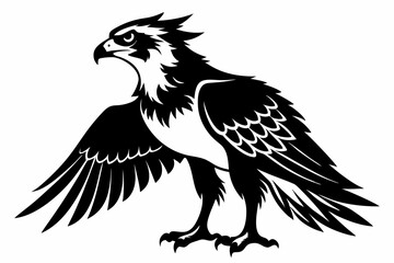 osprey silhouette line art vector illustration with a white background