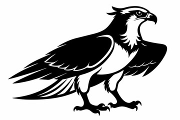 osprey silhouette line art vector illustration with a white background