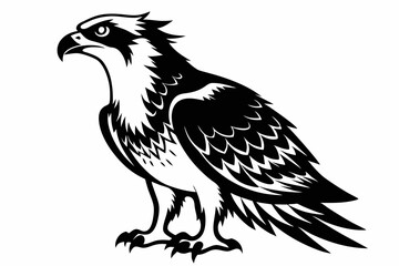 Obraz premium osprey silhouette line art vector illustration with a white background