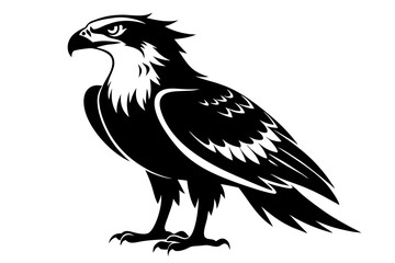 osprey silhouette line art vector illustration with a white background