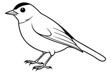 robin silhouette line art vector illustration with a white background