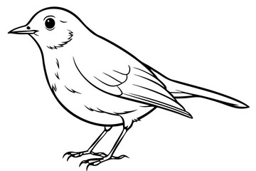 robin silhouette line art vector illustration with a white background