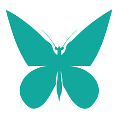 mist green butterfly silhouettes color vector illustration on white background 
