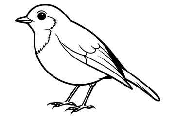 robin silhouette line art vector illustration with a white background