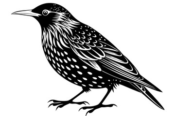 starling silhouette line art vector illustration with a white background