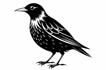 starling silhouette line art vector illustration with a white background