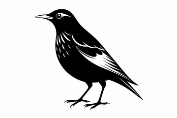 starling silhouette line art vector illustration with a white background