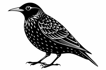 starling silhouette line art vector illustration with a white background