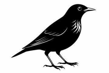starling silhouette line art vector illustration with a white background