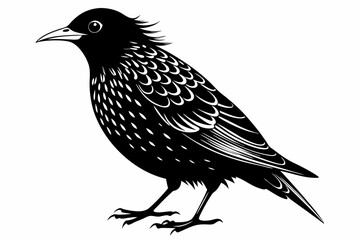 starling silhouette line art vector illustration with a white background