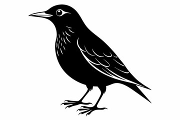 starling silhouette line art vector illustration with a white background