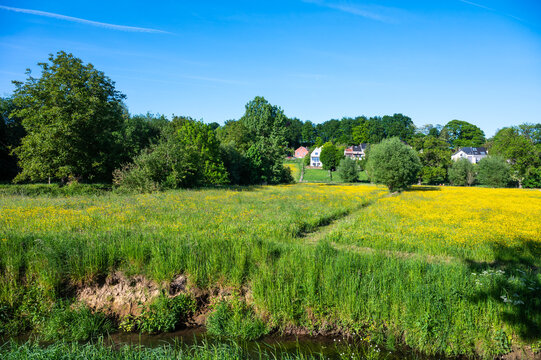 Colorful Zennebeemden landscape, a natural fluid zone of the river Senne in Huizingen, Flemish Brabant, Belgium