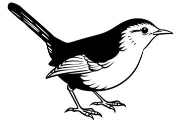 wren silhouette line art vector illustration with a white background