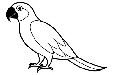 macaw silhouette line art vector illustration with a white background
