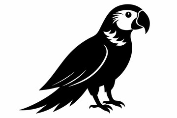 Fototapeta premium macaw silhouette line art vector illustration with a white background