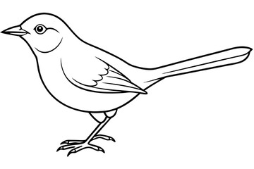nightingale silhouette line art vector illustration with a white background