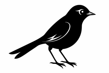 nightingale silhouette line art vector illustration with a white background
