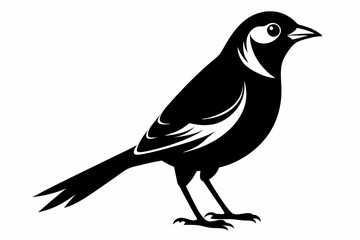 nightingale silhouette line art vector illustration with a white background