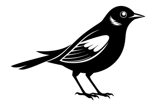 nightingale silhouette line art vector illustration with a white background