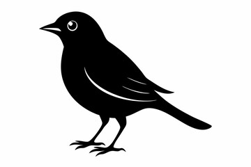 nightingale silhouette line art vector illustration with a white background