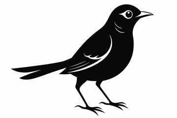 nightingale silhouette line art vector illustration with a white background
