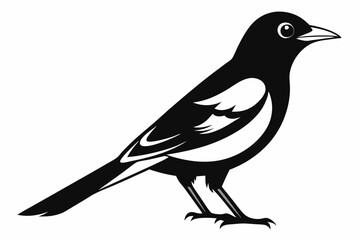 oriole silhouette line art vector illustration with a white background
