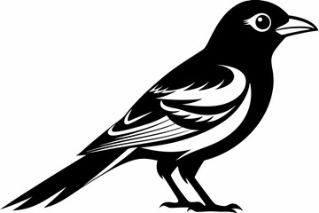 oriole silhouette line art vector illustration with a white background