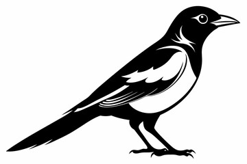 oriole silhouette line art vector illustration with a white background
