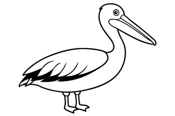pelican silhouette line art vector illustration with a white background