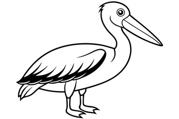 pelican silhouette line art vector illustration with a white background