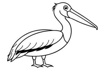pelican silhouette line art vector illustration with a white background