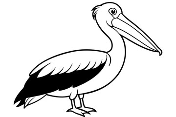 pelican silhouette line art vector illustration with a white background