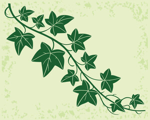 Stylized Ivy plant artwork