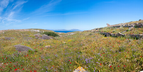 Delos island Temple of Isis Archeological Site (in Greek Αρχαιολογικός Χώρος Δήλου) Landscape near Mykonos Island South Aegean Region (Südliche Ägäis) Greece